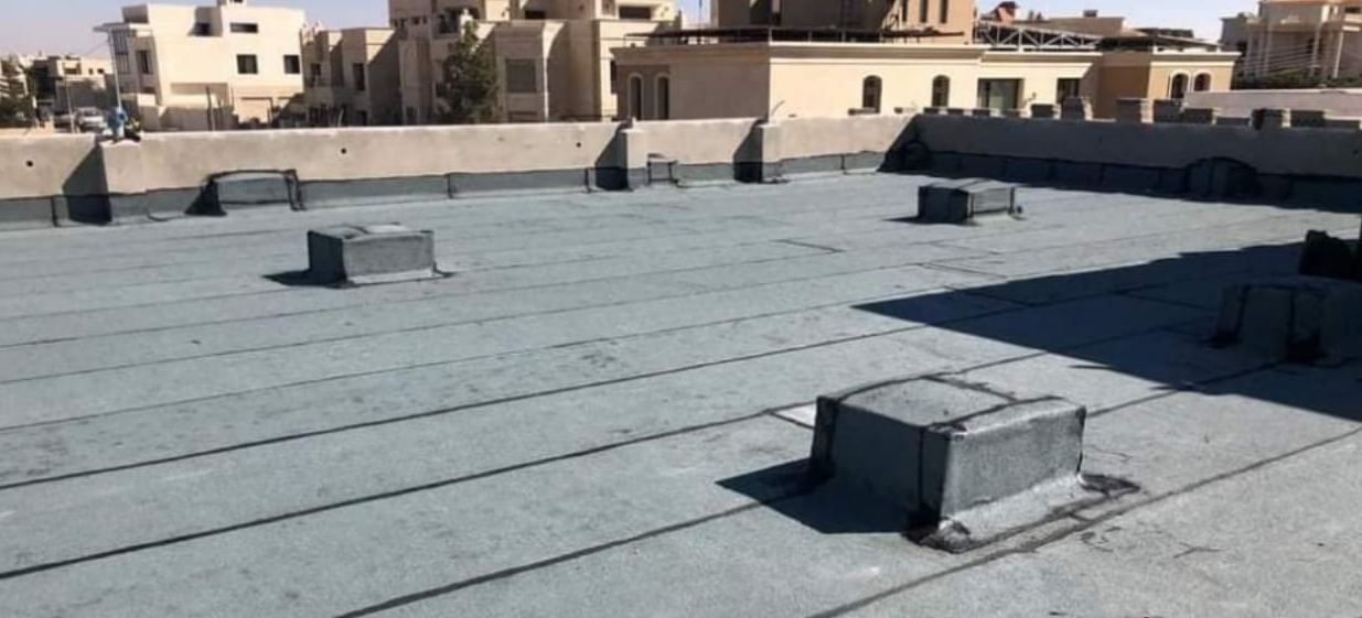 يييي56 01 e1699431027758